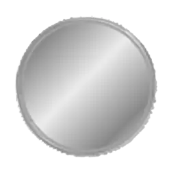 Silver Member